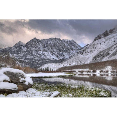 California, Sierra Nevada Spring at North Lake White Modern Wood Framed Art Print by Flaherty, Dennis