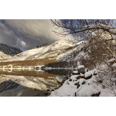 California, Sierra Nevada Spring at North Lake Black Modern Wood Framed Art Print with Double Matting by Flaherty, Dennis