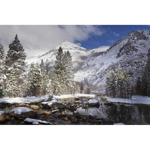 California, Sierra Nevada Spring at North Lake Black Modern Wood Framed Art Print with Double Matting by Flaherty, Dennis