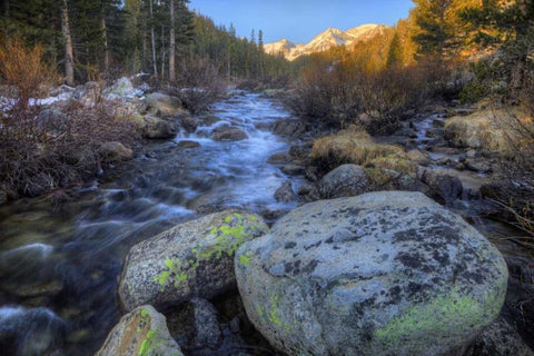 California, Sierra Nevada Rock Creek landscape Black Ornate Wood Framed Art Print with Double Matting by Flaherty, Dennis