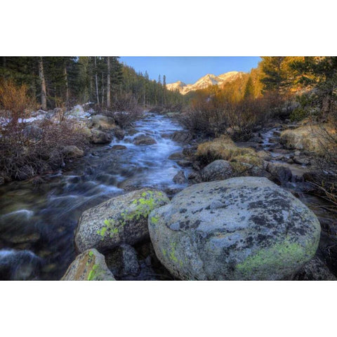 California, Sierra Nevada Rock Creek landscape White Modern Wood Framed Art Print by Flaherty, Dennis