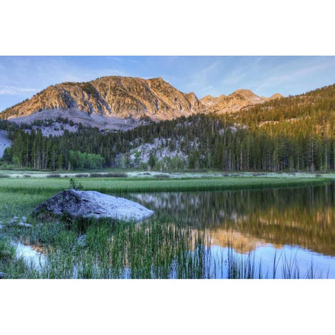 California, Sierra Nevada Grass Lake reflection Black Modern Wood Framed Art Print with Double Matting by Flaherty, Dennis