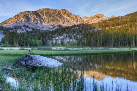 California, Sierra Nevada Grass Lake reflection White Modern Wood Framed Art Print with Double Matting by Flaherty, Dennis