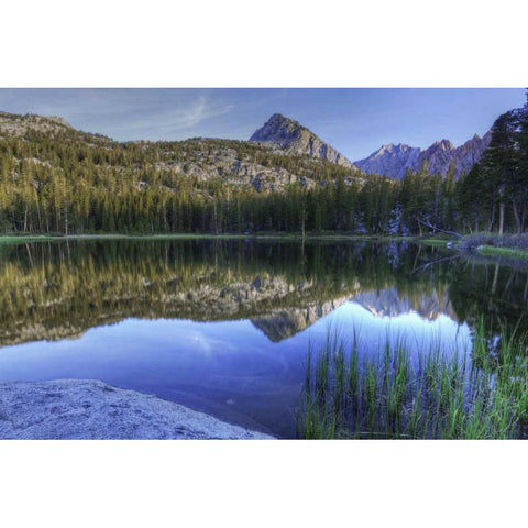 California, Sierra Nevada Grass Lake reflection White Modern Wood Framed Art Print by Flaherty, Dennis