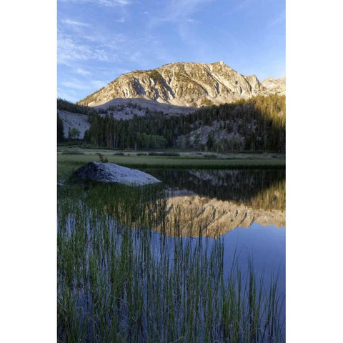 California, Sierra Nevada Grass Lake reflection Black Modern Wood Framed Art Print with Double Matting by Flaherty, Dennis