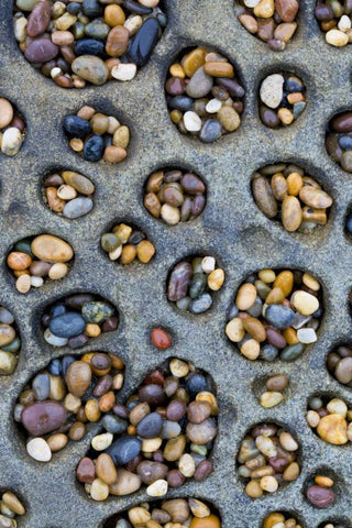CA, Tafoni formation holes filled with pebbles White Modern Wood Framed Art Print with Double Matting by Delisle, Gilles