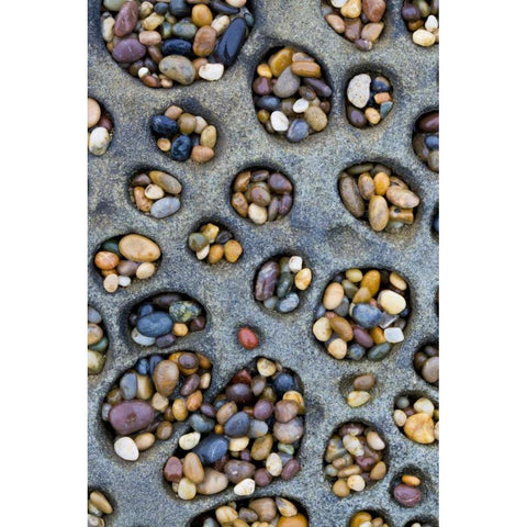 CA, Tafoni formation holes filled with pebbles Black Modern Wood Framed Art Print by Delisle, Gilles