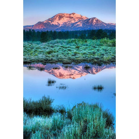 California-Sierra Nevada Range Mammoth Mountain reflects in Mammoth Creek Gold Ornate Wood Framed Art Print with Double Matting by Jaynes Gallery