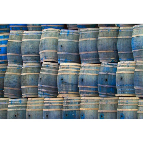 California San Luis Obispo Stacked wine barrels White Modern Wood Framed Art Print by Jaynes Gallery