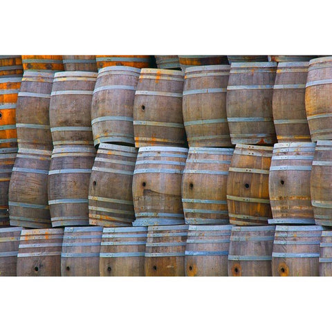 California San Luis Obispo Stacked wine barrels Gold Ornate Wood Framed Art Print with Double Matting by Jaynes Gallery