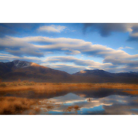 California-Owens Valley Abstract of reflections in river Black Modern Wood Framed Art Print with Double Matting by Jaynes Gallery