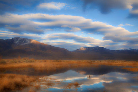 California-Owens Valley Abstract of reflections in river White Modern Wood Framed Art Print with Double Matting by Jaynes Gallery