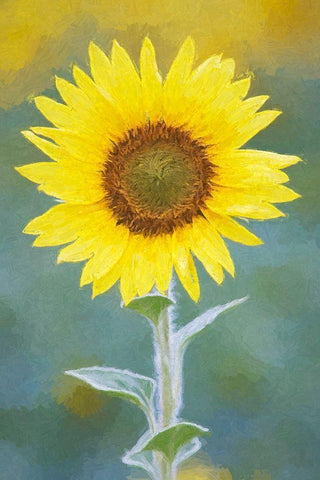 California Abstract of sunflower Black Ornate Wood Framed Art Print with Double Matting by Jaynes Gallery