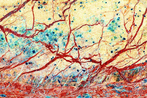 California Detail of marble rock patterns White Modern Wood Framed Art Print with Double Matting by Jaynes Gallery