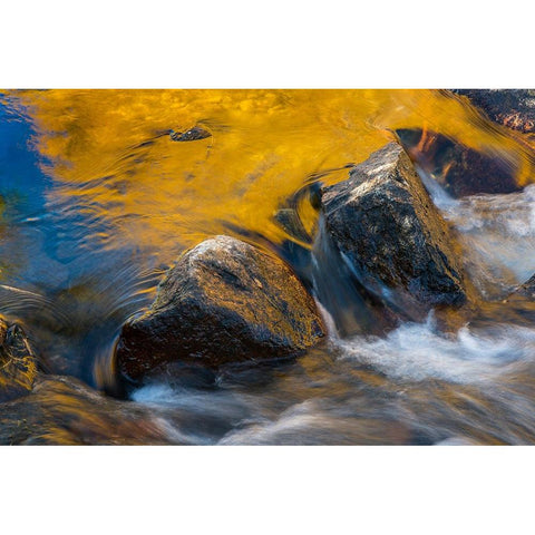 Usa-California Morning sun shines gold on the waters of the South Fork American River White Modern Wood Framed Art Print by Sederquist, Betty