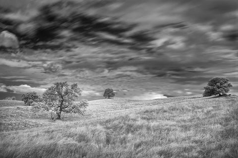 Infrared image of clouds-grasslands and oak trees in Amador County White Modern Wood Framed Art Print with Double Matting by Sederquist, Betty