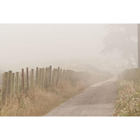 Usa-California Fog blankets this driveway at Point Reyes Black Modern Wood Framed Art Print by Sederquist, Betty