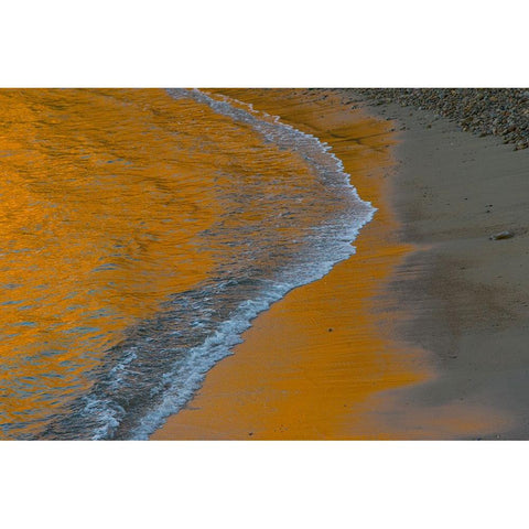 Usa-California The headlands of Point Reyes Black Modern Wood Framed Art Print by Sederquist, Betty