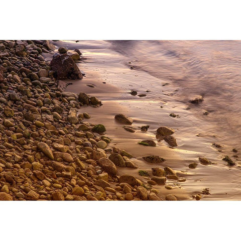 Usa-California The headlands of Point Reyes Black Modern Wood Framed Art Print with Double Matting by Sederquist, Betty