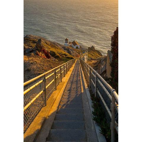 Usa-California Hundreds of stairs lead down to Point Reyes Lighthouse White Modern Wood Framed Art Print by Sederquist, Betty