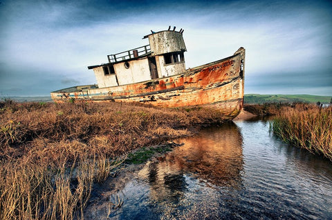 Usa-California Rotting fishing boat near Point Reyes Black Ornate Wood Framed Art Print with Double Matting by Sederquist, Betty