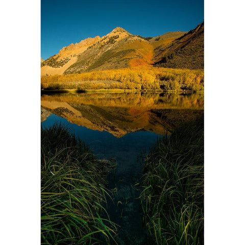 Usa-California-Sierra Nevada Morning sun lights up North Lake and the golden aspens beyond Black Modern Wood Framed Art Print by Sederquist, Betty