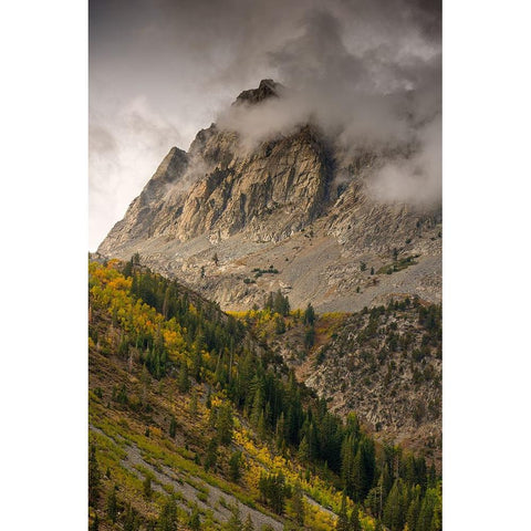 Usa-California-Sierra Nevada Mighty Peaks in the Lundy Lake area in fall Gold Ornate Wood Framed Art Print with Double Matting by Sederquist, Betty