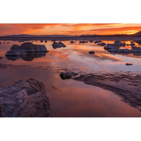 Usa-California-Sierra Nevada Mono Lake Gold Ornate Wood Framed Art Print with Double Matting by Sederquist, Betty