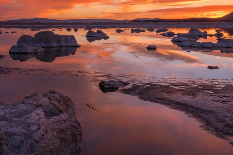 Usa-California-Sierra Nevada Mono Lake White Modern Wood Framed Art Print with Double Matting by Sederquist, Betty