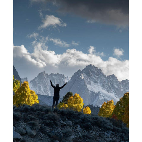 Usa-California-Sierra Nevada Bishop Creek-Rugged peaks rise behind fall aspens Black Modern Wood Framed Art Print by Sederquist, Betty