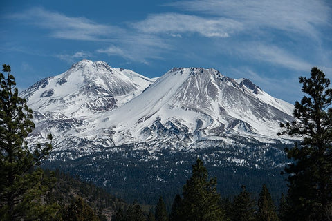 Glacier on Mt. Shasta has almost disappeared. Black Ornate Wood Framed Art Print with Double Matting by Sederquist, Betty