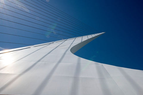 Graceful Sundial Bridge spanning the Sacramento River in Redding. Black Ornate Wood Framed Art Print with Double Matting by Sederquist, Betty