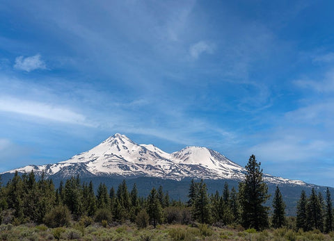 Mt. Shasta the tallest volcano in California. Black Ornate Wood Framed Art Print with Double Matting by Sederquist, Betty