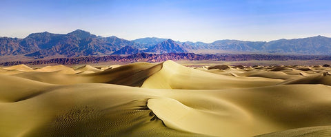 Death Valley Sand Dunes at Mesquite Flats. Black Ornate Wood Framed Art Print with Double Matting by Muir, Janet