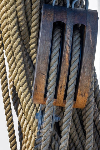 Nautical rigging-San Francisco-California-USA Black Ornate Wood Framed Art Print with Double Matting by Engelbrecht, Jim