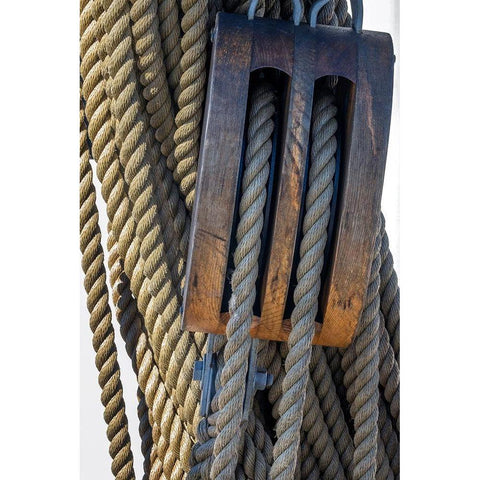 Nautical rigging-San Francisco-California-USA Black Modern Wood Framed Art Print by Engelbrecht, Jim