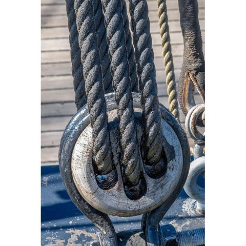 Tarred Nautical rope and pulley-San Francisco-California-USA White Modern Wood Framed Art Print by Engelbrecht, Jim