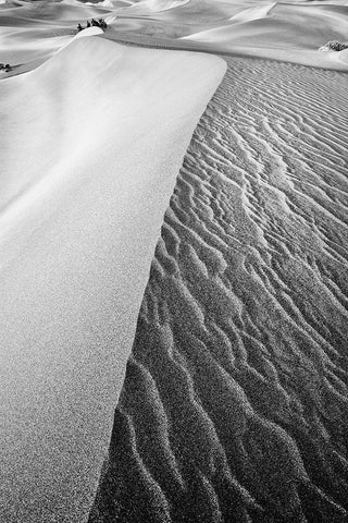Dune Abstract-Death Valley Black Ornate Wood Framed Art Print with Double Matting by Ford, John