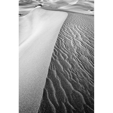 Dune Abstract-Death Valley Black Modern Wood Framed Art Print with Double Matting by Ford, John