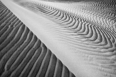 Dune Abstract-Death Valley Black Ornate Wood Framed Art Print with Double Matting by Ford, John