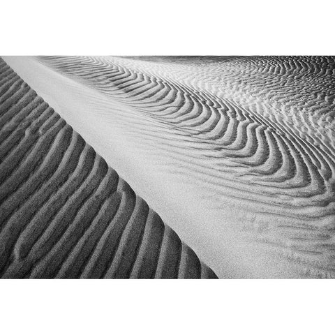 Dune Abstract-Death Valley Black Modern Wood Framed Art Print by Ford, John