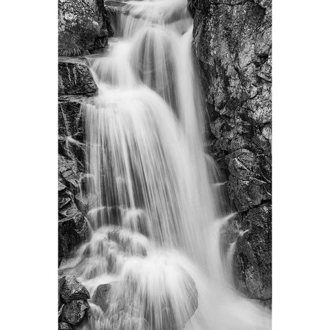 Wildcat Falls-Yosemite Gold Ornate Wood Framed Art Print with Double Matting by Ford, John