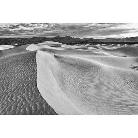 Mesquite Dunes-Death Valley National Park-California Black Modern Wood Framed Art Print with Double Matting by Ford, John