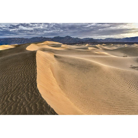 Mesquite Dunes-Death Valley National Park-California Black Modern Wood Framed Art Print by Ford, John