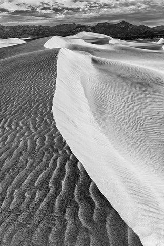 Mesquite Dunes-Death Valley National Park-California White Modern Wood Framed Art Print with Double Matting by Ford, John