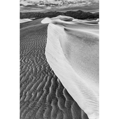 Mesquite Dunes-Death Valley National Park-California Black Modern Wood Framed Art Print by Ford, John