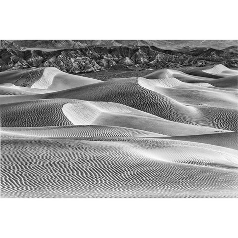 Mesquite Dunes-Death Valley National Park-California Gold Ornate Wood Framed Art Print with Double Matting by Ford, John