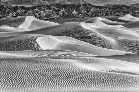 Mesquite Dunes-Death Valley National Park-California White Modern Wood Framed Art Print with Double Matting by Ford, John