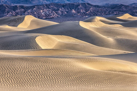Mesquite Dunes-Death Valley National Park-California White Modern Wood Framed Art Print with Double Matting by Ford, John