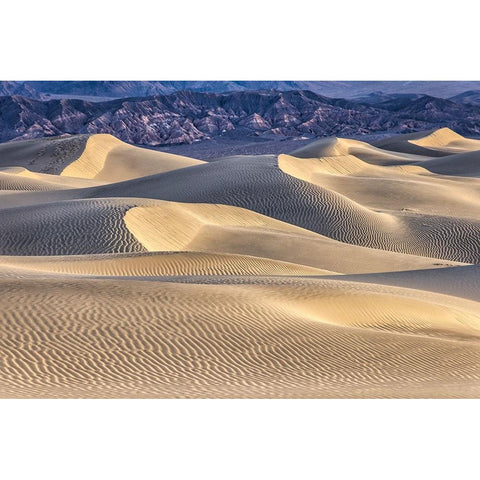 Mesquite Dunes-Death Valley National Park-California Gold Ornate Wood Framed Art Print with Double Matting by Ford, John